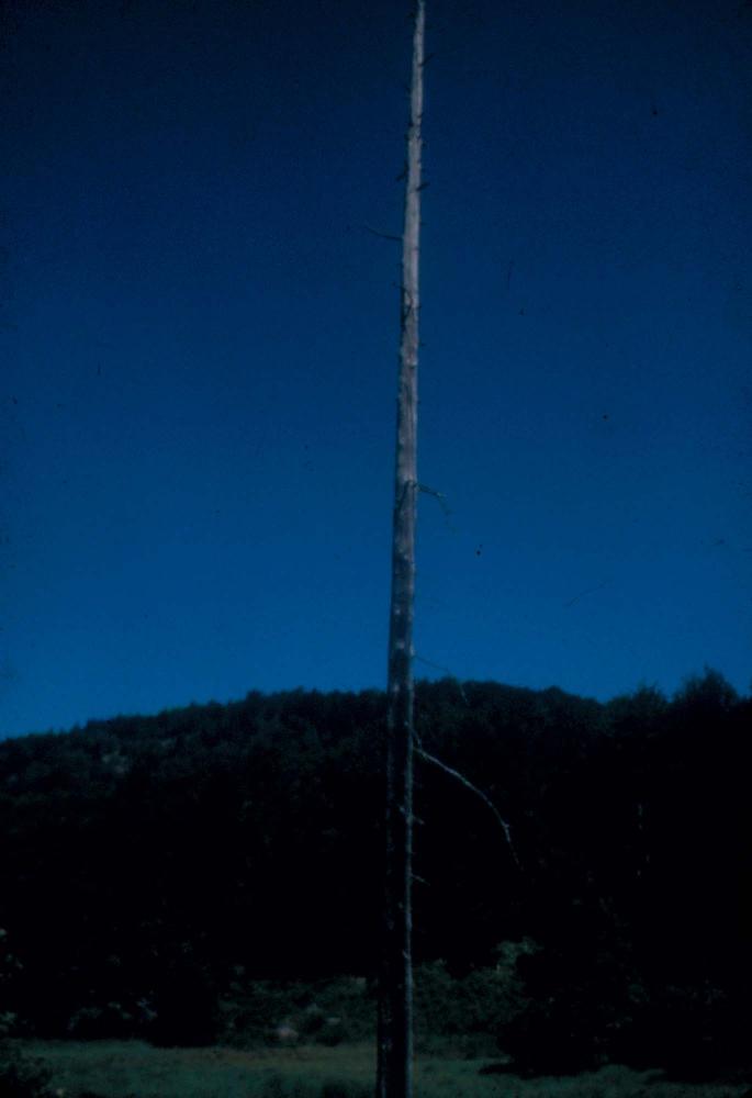 1980년대 김차섭이 촬영한 풍경 사진