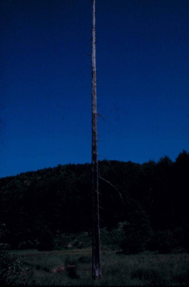 1980년대 김차섭이 촬영한 풍경 사진