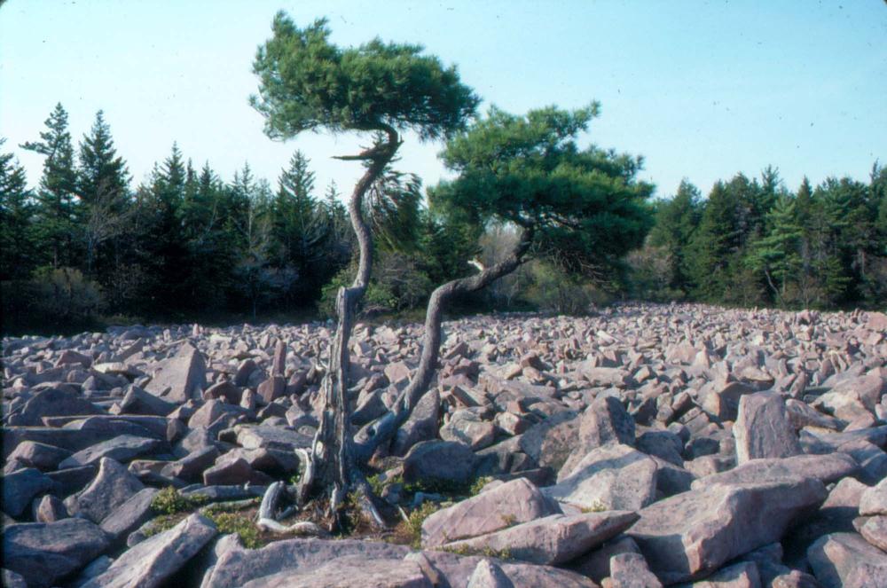 1980년대 김차섭이 촬영한 풍경 사진