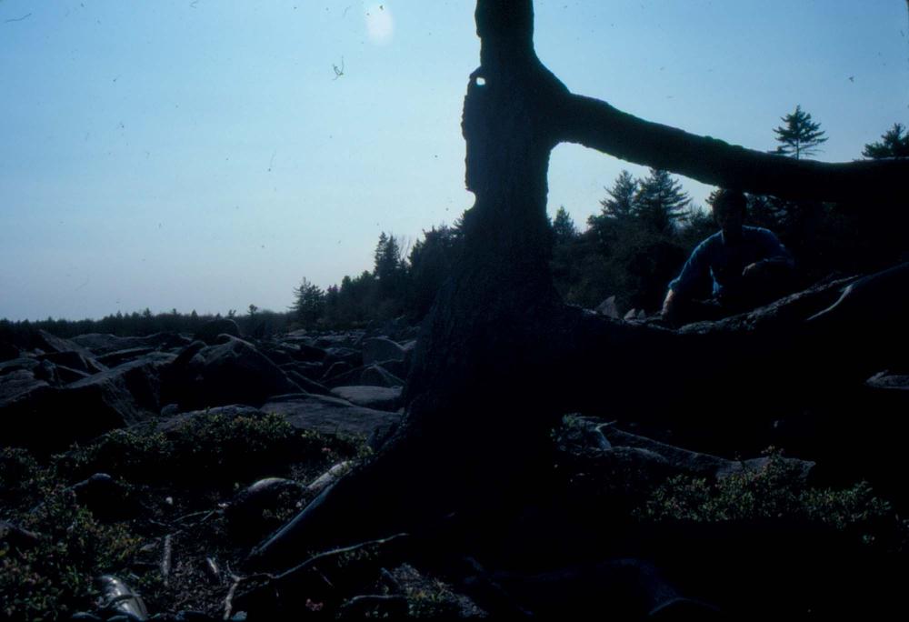 1980년대 김차섭이 촬영한 풍경 사진