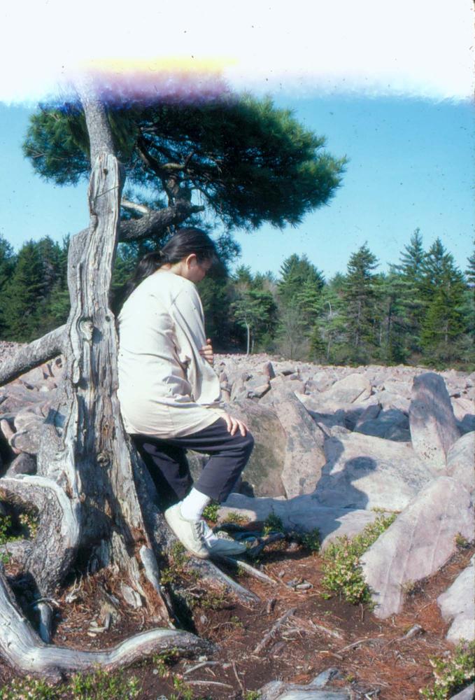 1980년대 김차섭이 촬영한 풍경 사진
