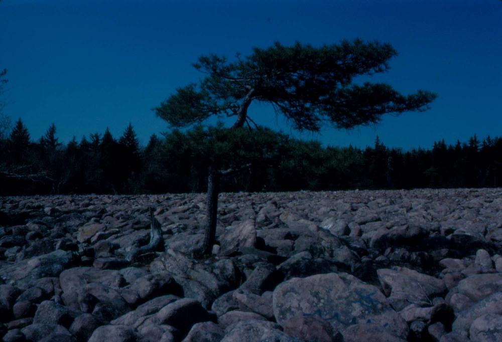 1980년대 김차섭이 촬영한 풍경 사진