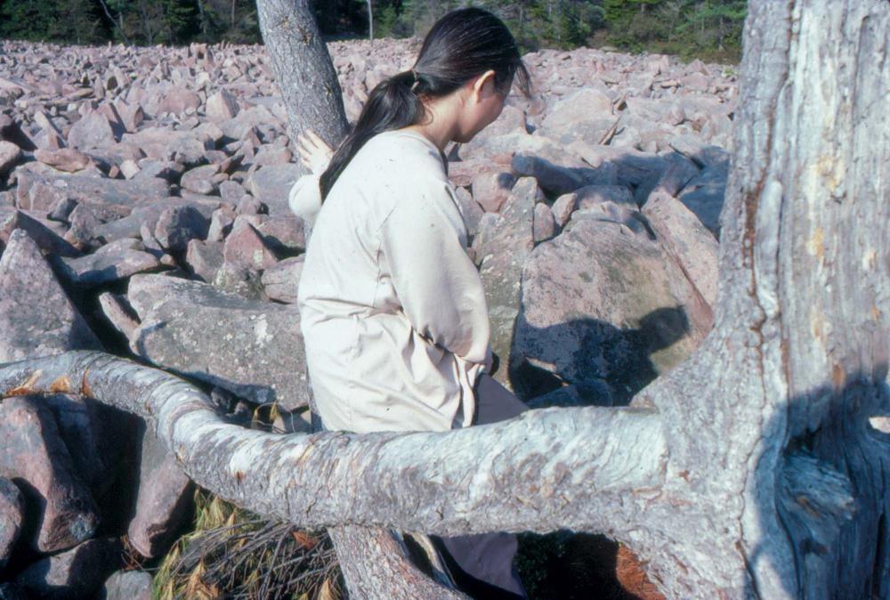 1980년대 김차섭이 촬영한 풍경 사진