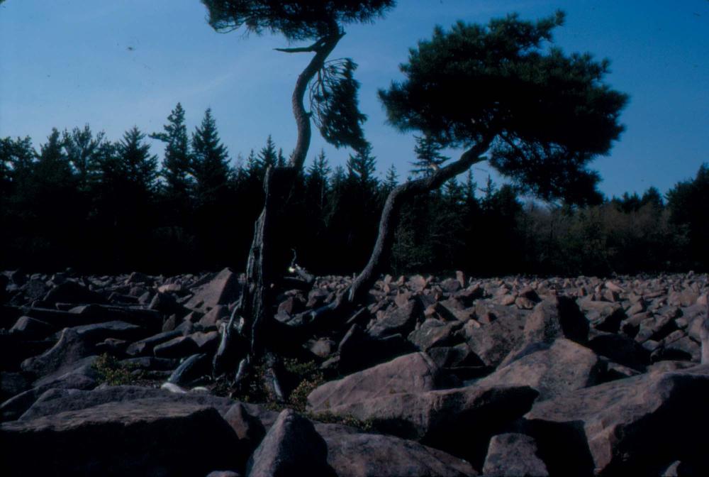 1980년대 김차섭이 촬영한 풍경 사진