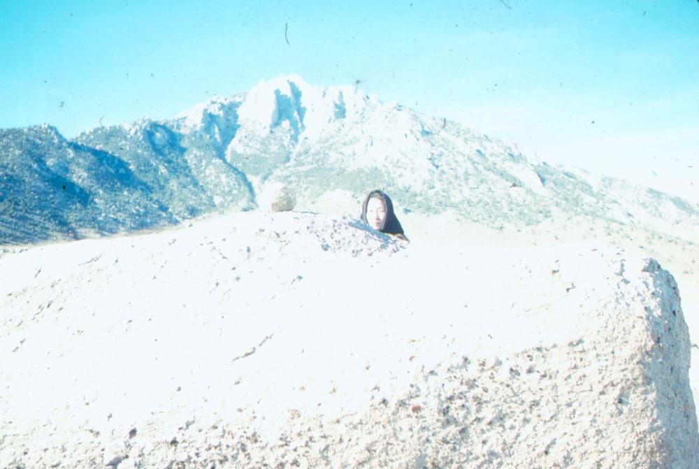 1980년대 김차섭이 촬영한 풍경 사진