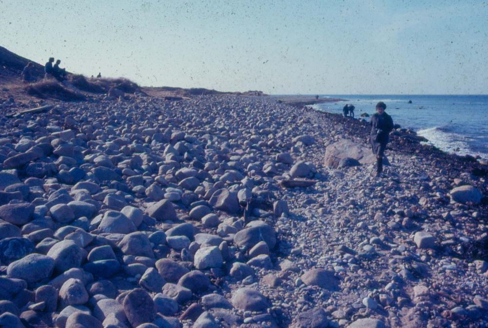 1980년대 김차섭이 촬영한 풍경 사진