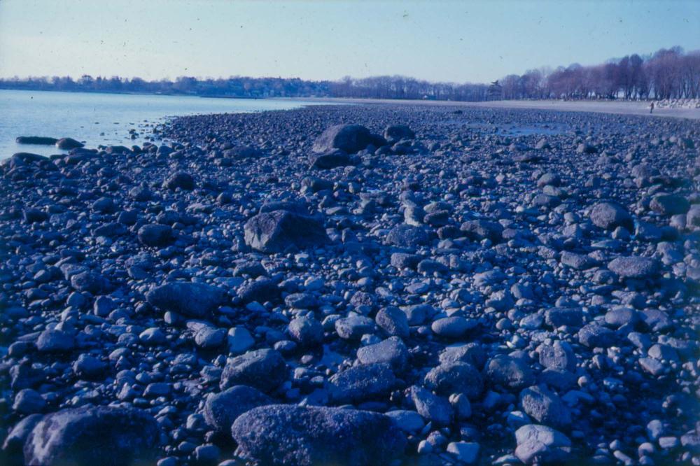 1980년대 김차섭이 촬영한 풍경 사진