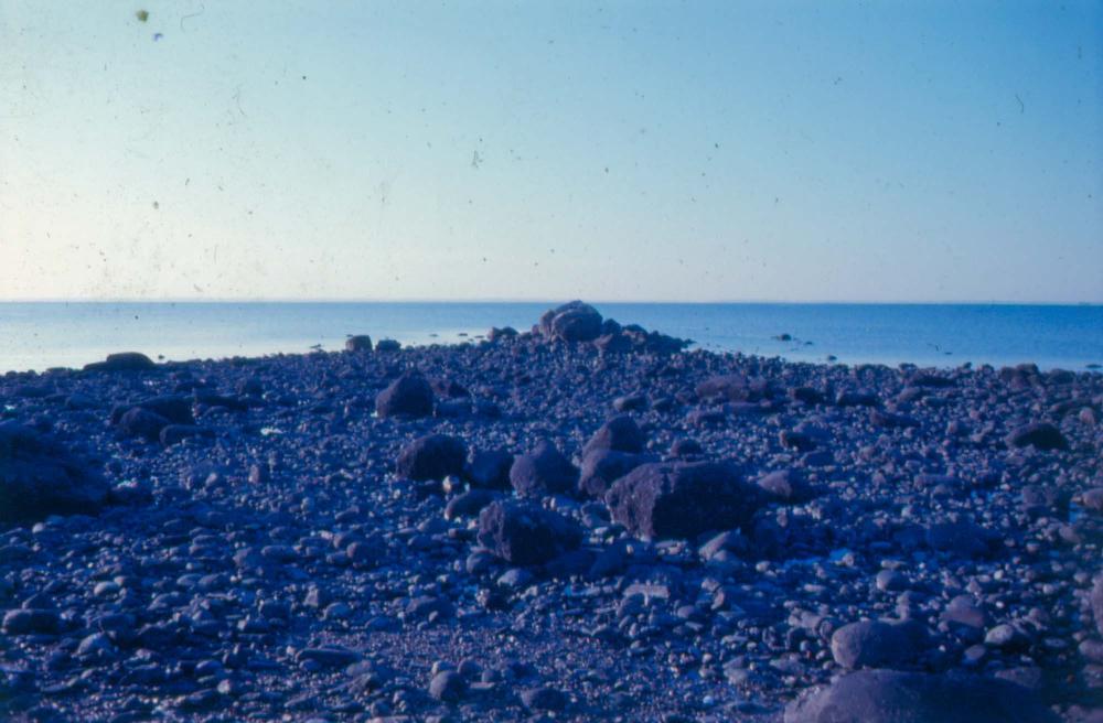 1980년대 김차섭이 촬영한 풍경 사진