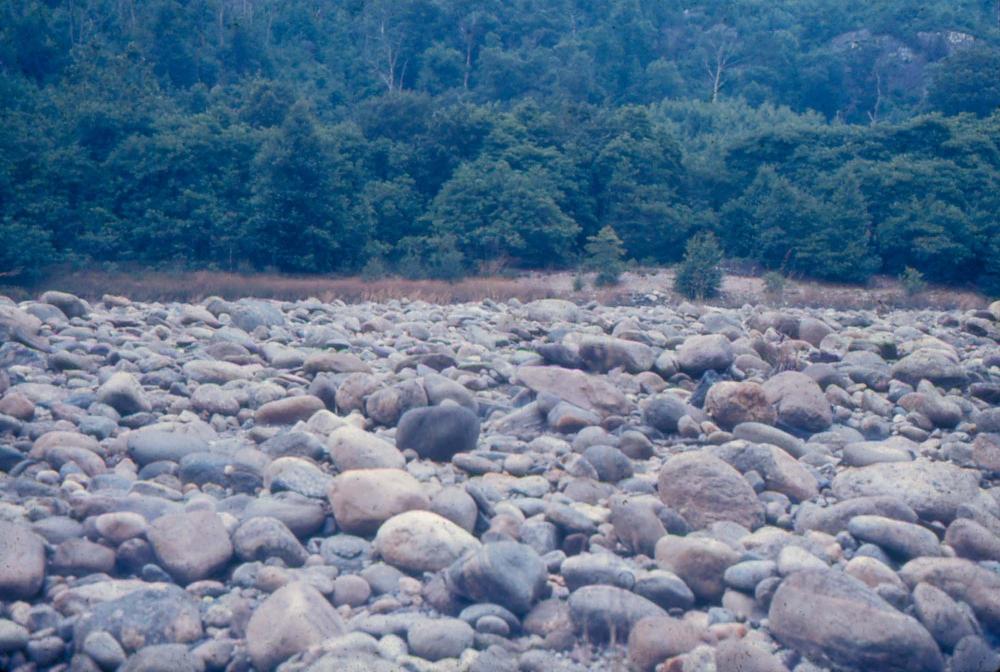 1980년대 김차섭이 촬영한 풍경 사진