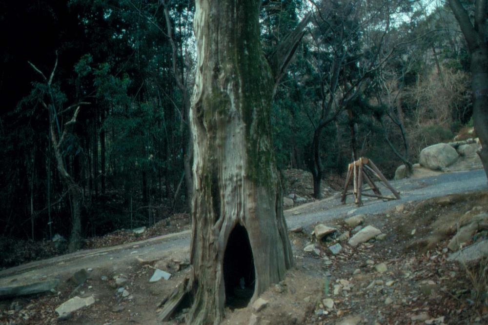 1989년부터 1996년까지 김차섭이 촬영한 풍경사진 1