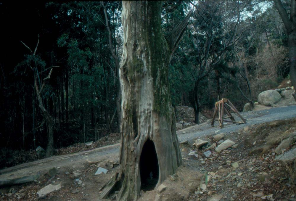 1989년부터 1996년까지 김차섭이 촬영한 풍경사진 2