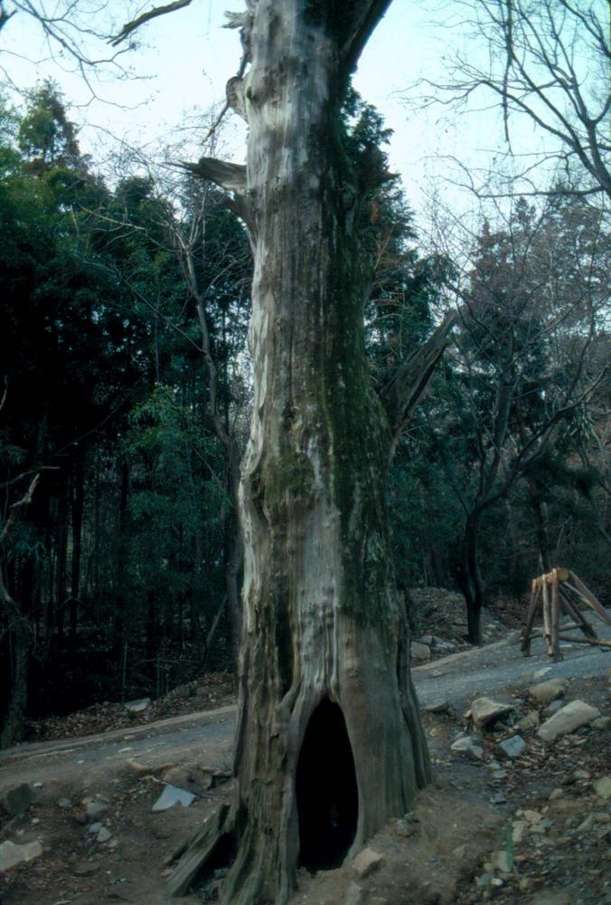 1989년부터 1996년까지 김차섭이 촬영한 풍경사진 3