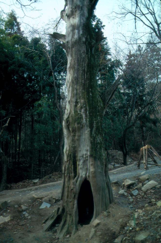 1989년부터 1996년까지 김차섭이 촬영한 풍경사진 4
