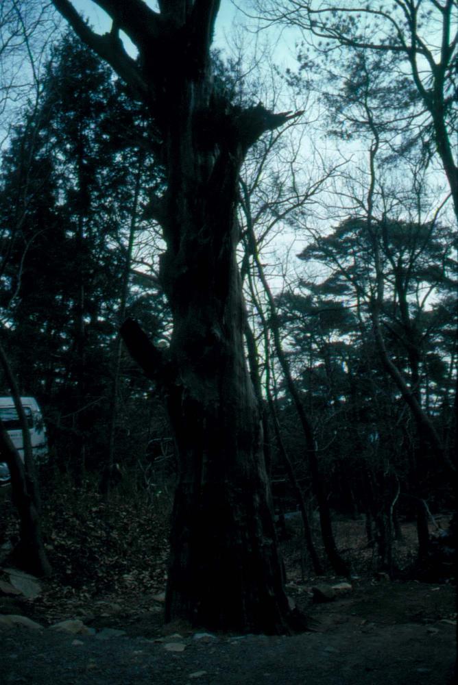 1989년부터 1996년까지 김차섭이 촬영한 풍경사진 5