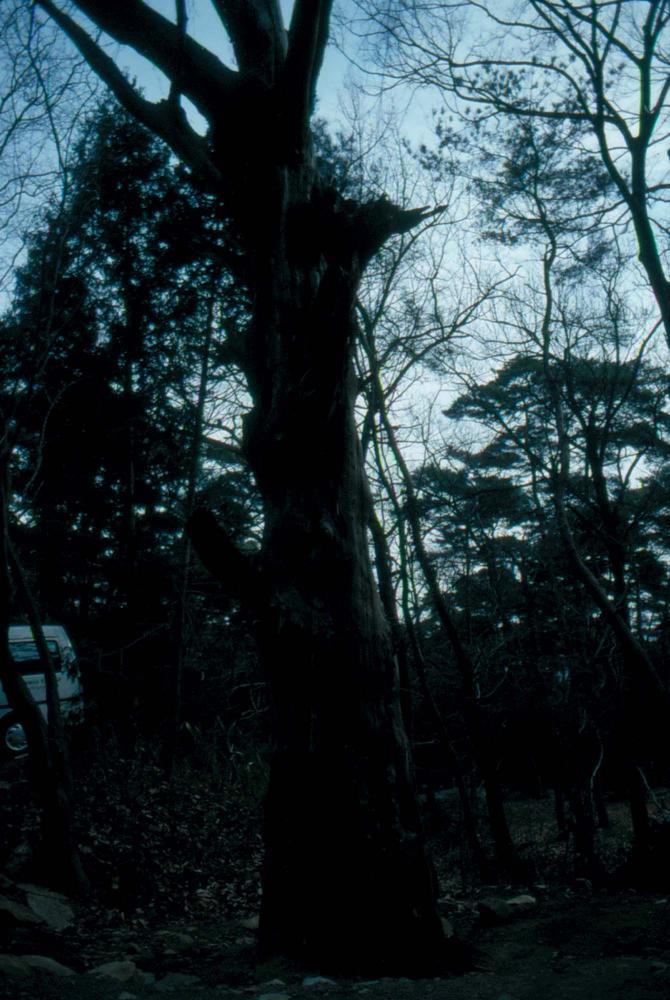 1989년부터 1996년까지 김차섭이 촬영한 풍경사진 6
