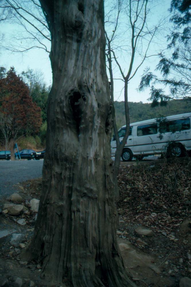 1989년부터 1996년까지 김차섭이 촬영한 풍경사진