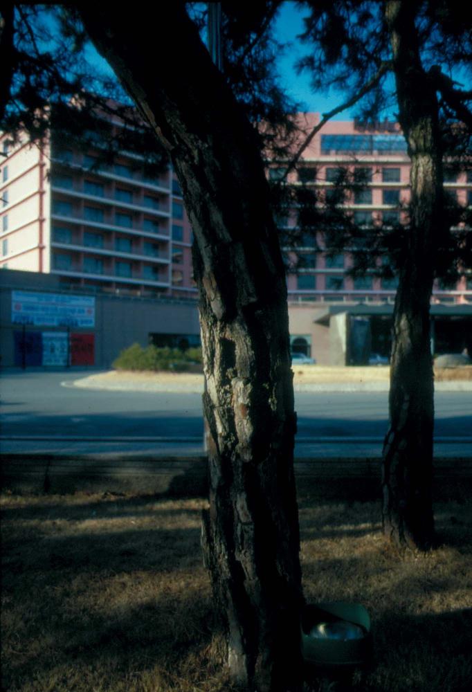 1989년부터 1996년까지 김차섭이 촬영한 풍경사진