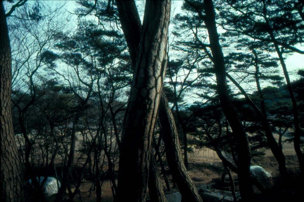 1989년부터 1996년까지 김차섭이 촬영한 풍경사진