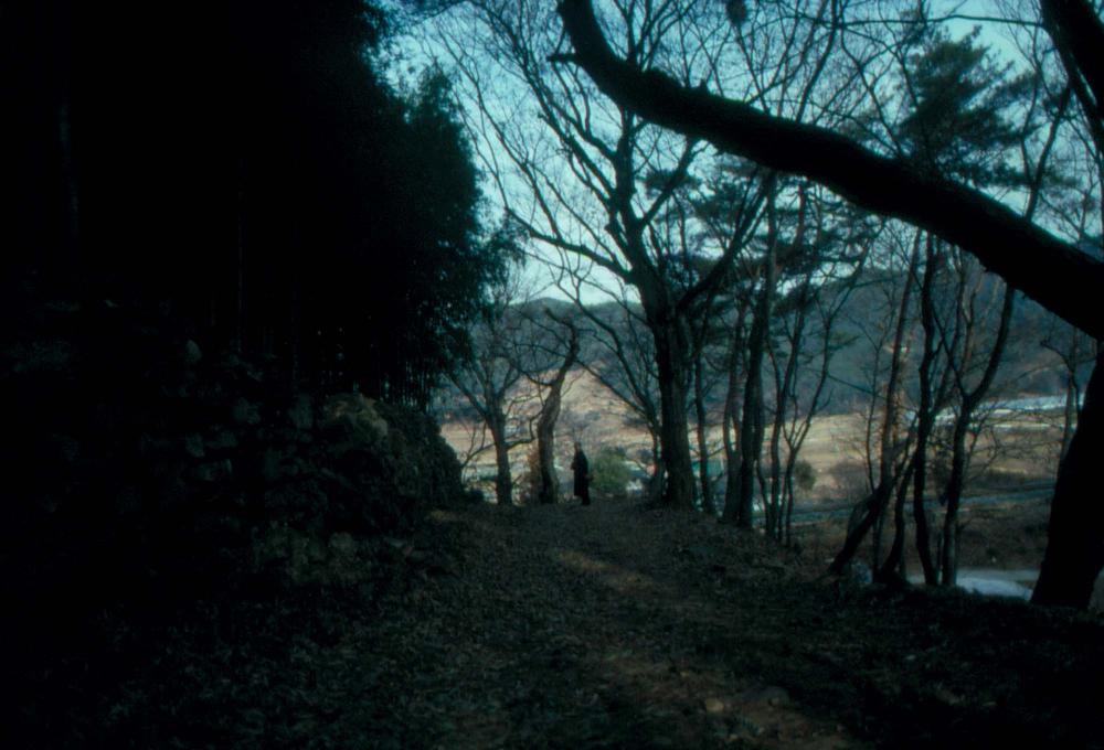 1989년부터 1996년까지 김차섭이 촬영한 풍경사진