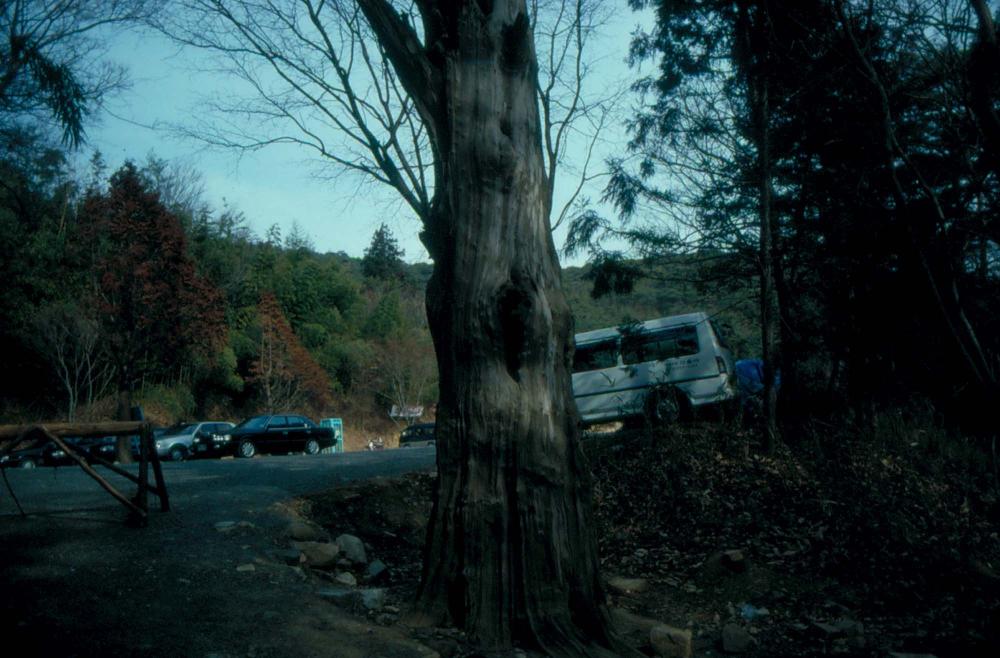 1989년부터 1996년까지 김차섭이 촬영한 풍경사진