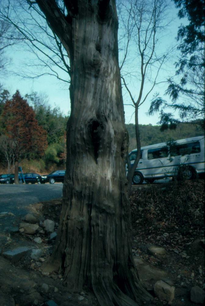 1989년부터 1996년까지 김차섭이 촬영한 풍경사진