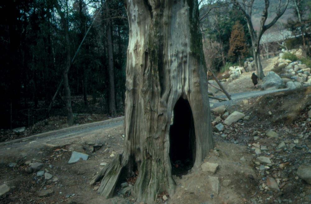 1989년부터 1996년까지 김차섭이 촬영한 풍경사진