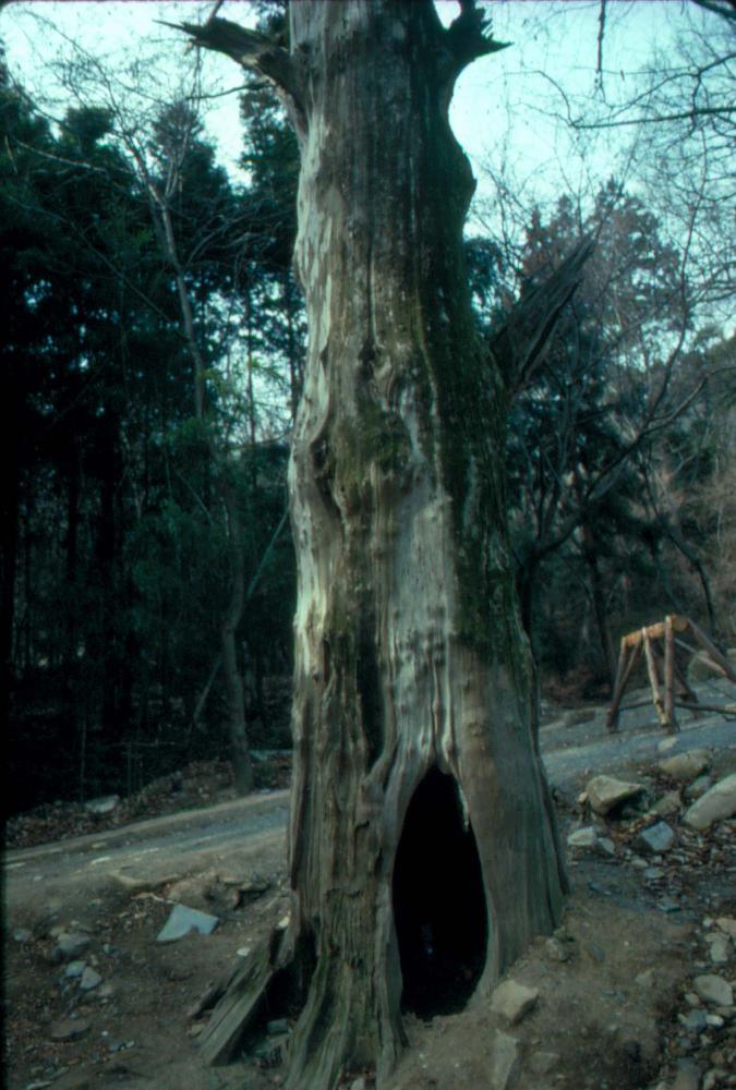 1989년부터 1996년까지 김차섭이 촬영한 풍경사진