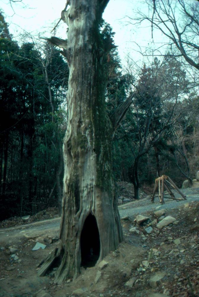 1989년부터 1996년까지 김차섭이 촬영한 풍경사진