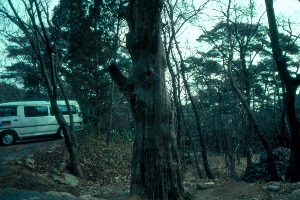 1989년부터 1996년까지 김차섭이 촬영한 풍경사진