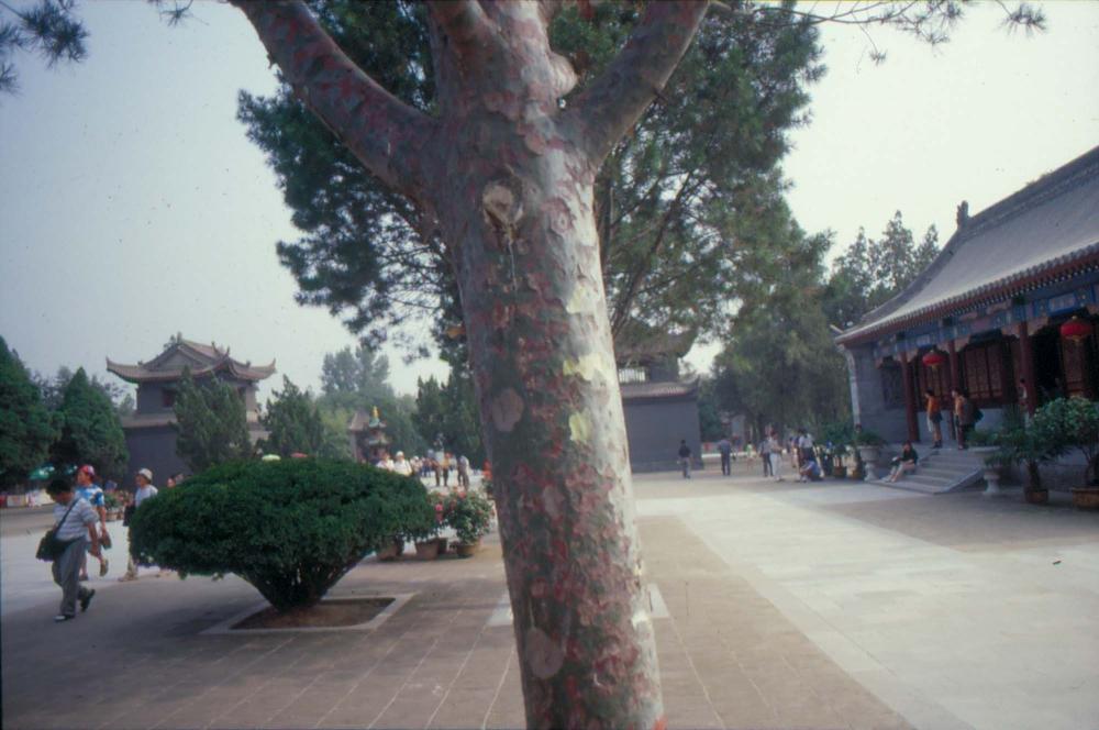 1989년부터 1996년까지 김차섭이 촬영한 풍경사진