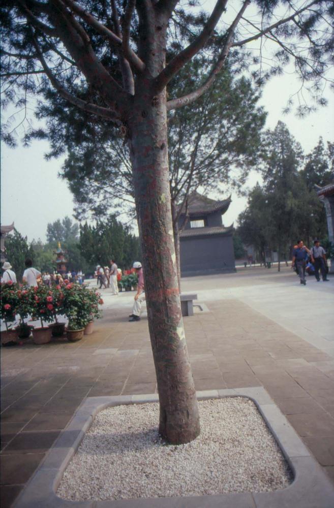 1989년부터 1996년까지 김차섭이 촬영한 풍경사진