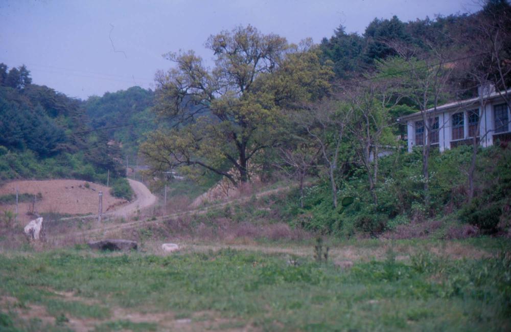 1989년부터 1996년까지 김차섭이 촬영한 풍경사진