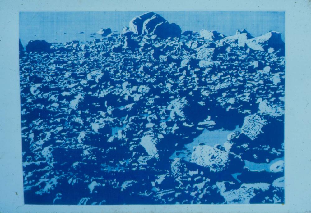 1974년부터 1980년까지 김차섭 작품 슬라이드 필름