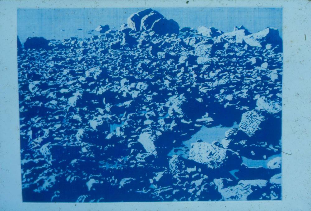 1974년부터 1980년까지 김차섭 작품 슬라이드 필름