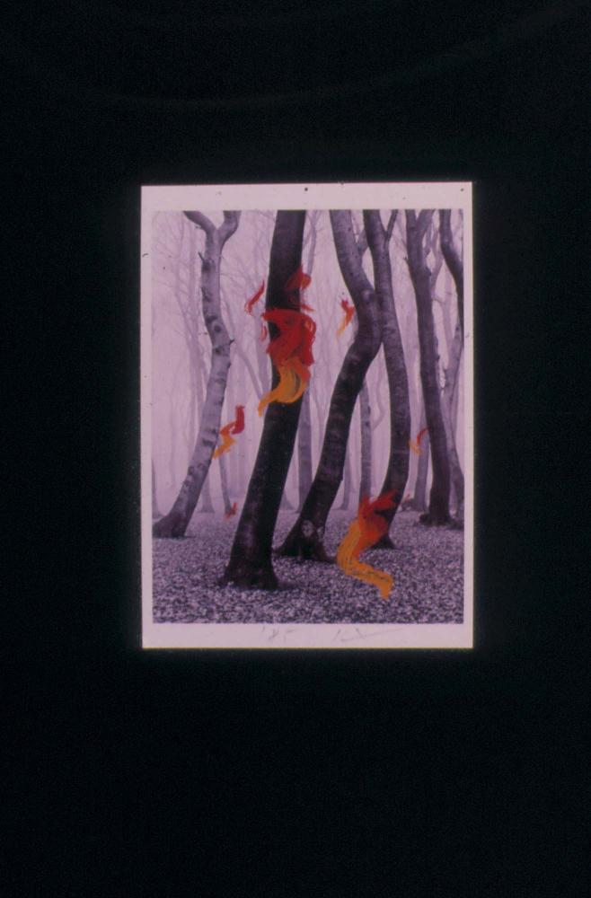 1980년대부터 1990년대까지 김차섭 작품 슬라이드 필름