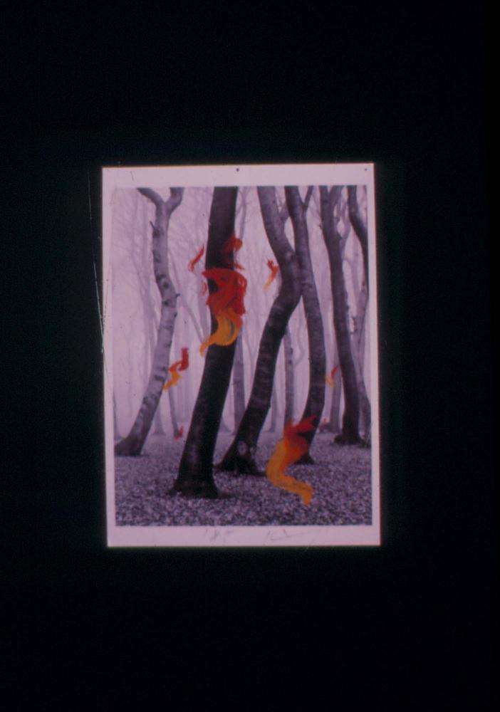 1980년대부터 1990년대까지 김차섭 작품 슬라이드 필름