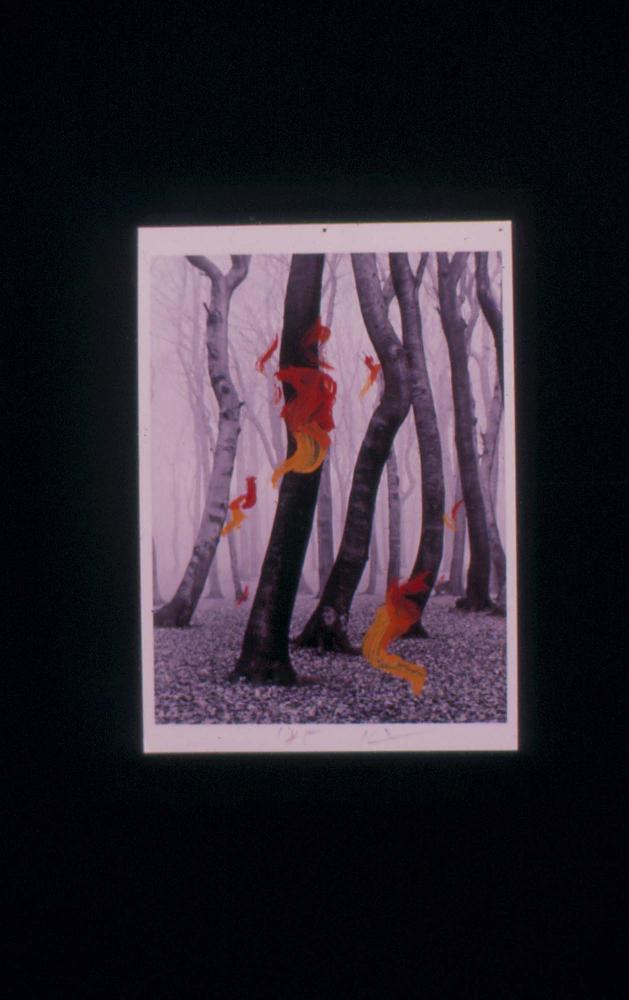 1980년대부터 1990년대까지 김차섭 작품 슬라이드 필름