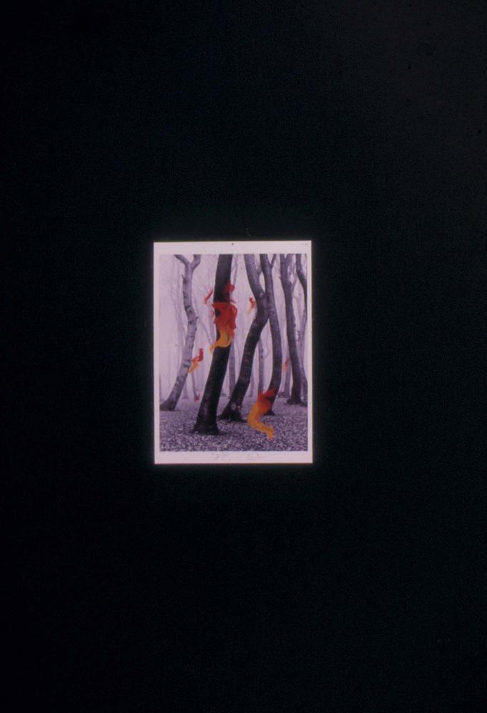 1980년대부터 1990년대까지 김차섭 작품 슬라이드 필름