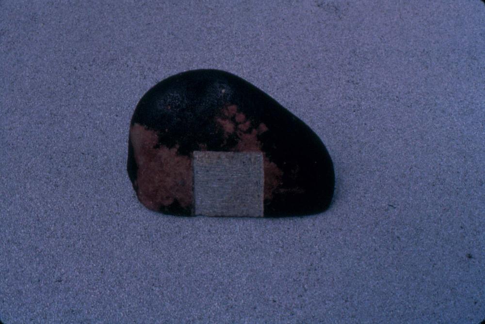 1980년대부터 1990년대까지 김차섭 작품 슬라이드 필름