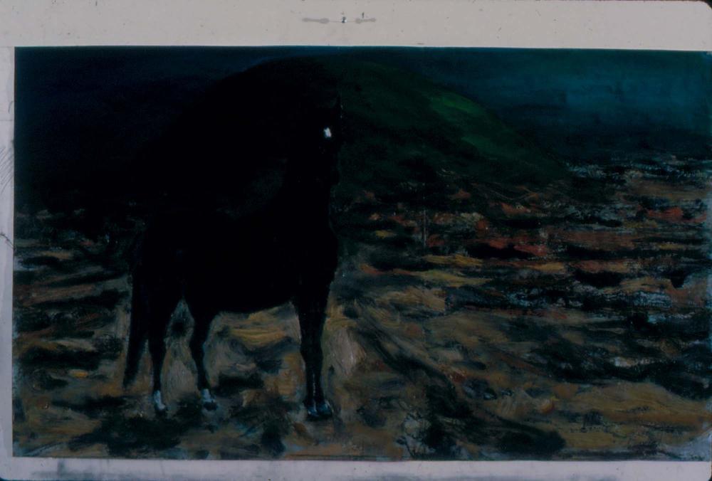 1980년대부터 1990년대까지 김차섭 작품 슬라이드 필름