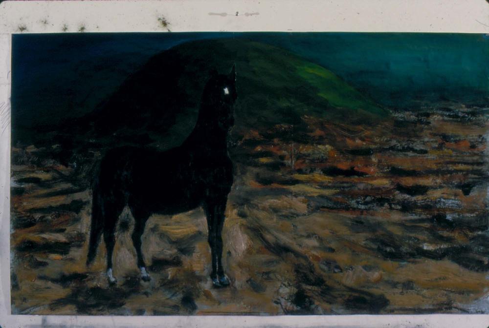 1980년대부터 1990년대까지 김차섭 작품 슬라이드 필름