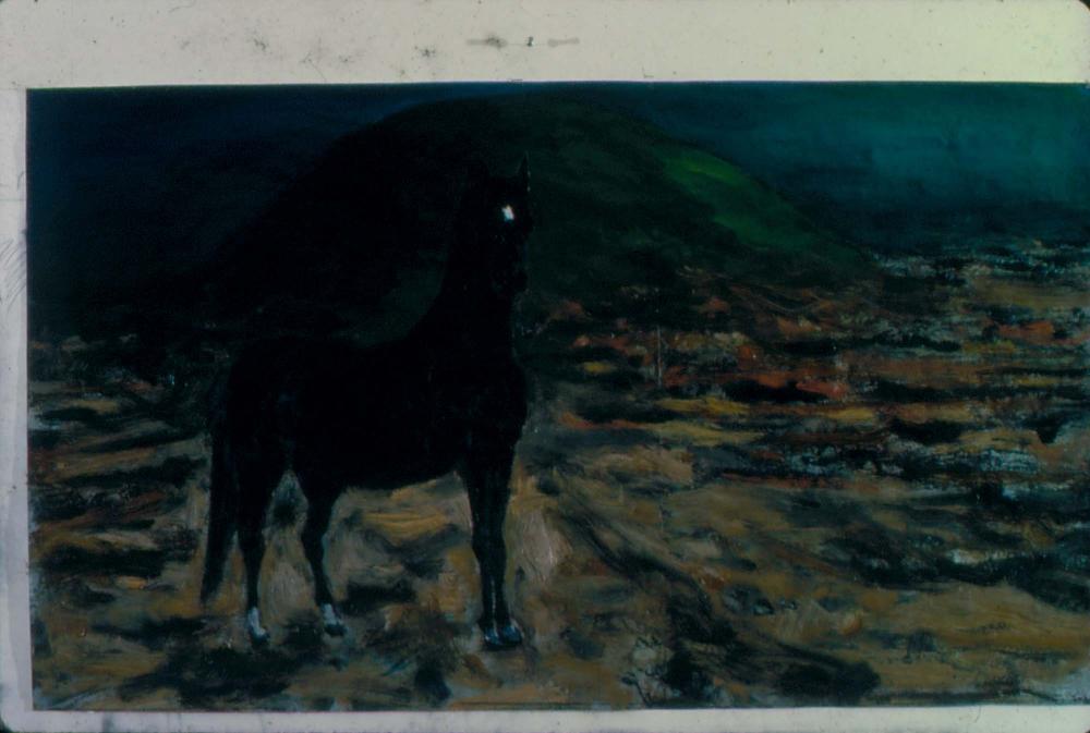 1980년대부터 1990년대까지 김차섭 작품 슬라이드 필름