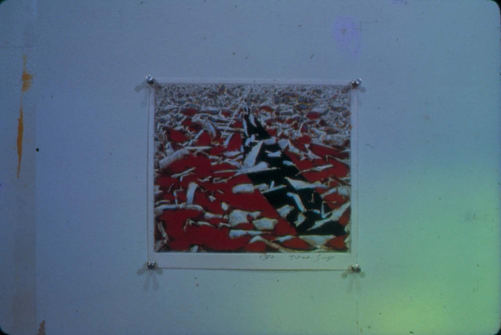 1980년대부터 1990년대까지 김차섭 작품 슬라이드 필름