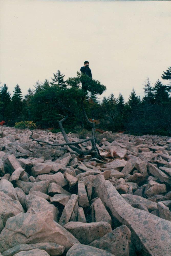 1970년대부터 1980년대까지 김명희, 김차섭 인화사진