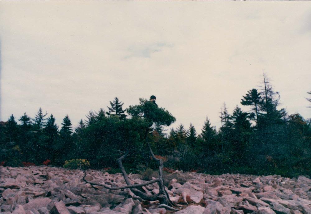 1970년대부터 1980년대까지 김명희, 김차섭 인화사진