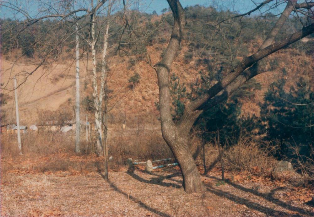 1970년대부터 1990년대까지 김명희, 김차섭 인화사진