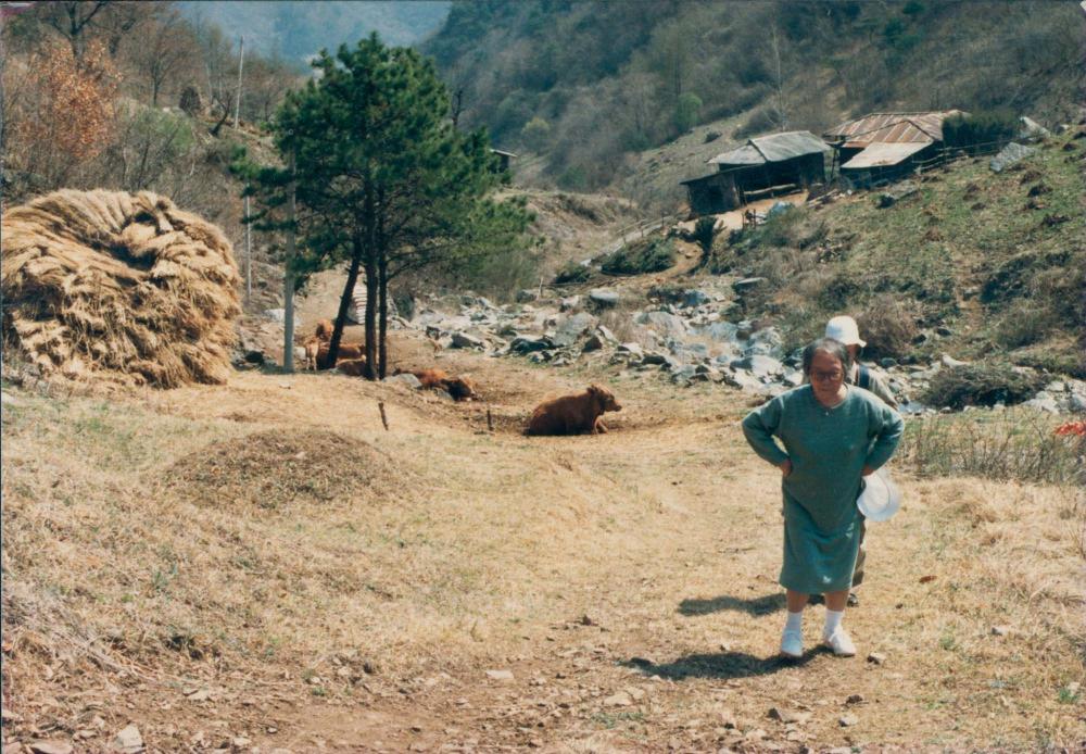 1970년대부터 1990년대까지 김명희, 김차섭 인화사진