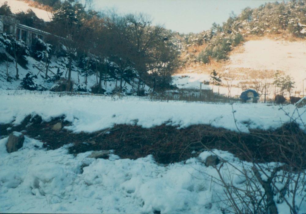 1970년대부터 1990년대까지 김명희, 김차섭 인화사진