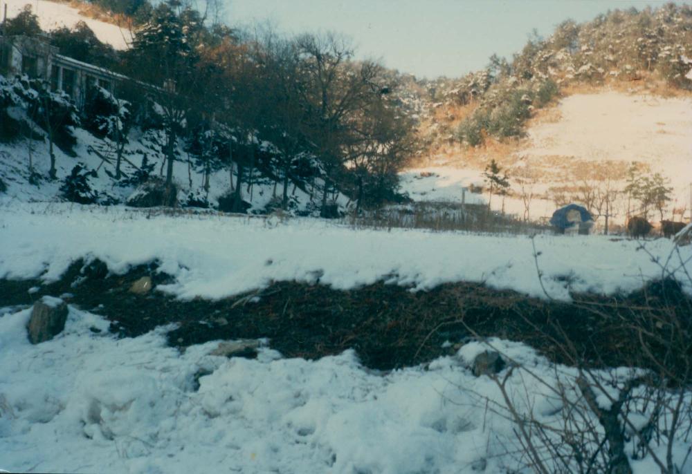 1970년대부터 1990년대까지 김명희, 김차섭 인화사진