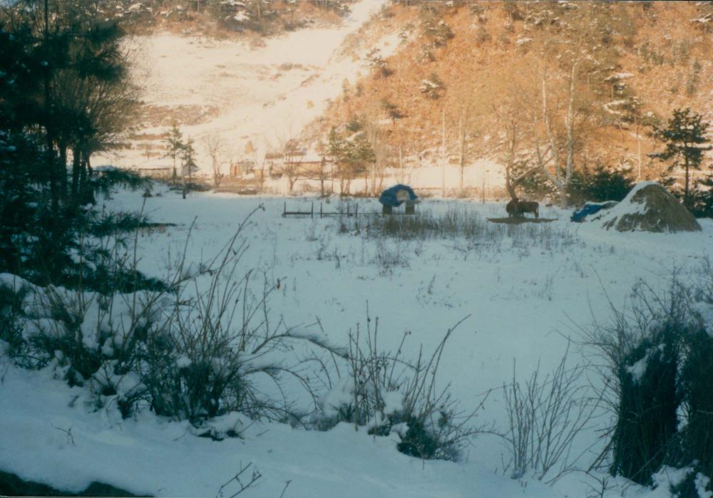 1970년대부터 1990년대까지 김명희, 김차섭 인화사진